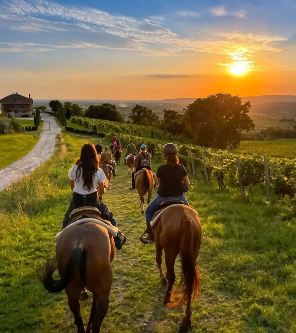Passeggiata a cavallo tra le vigne al tramonto