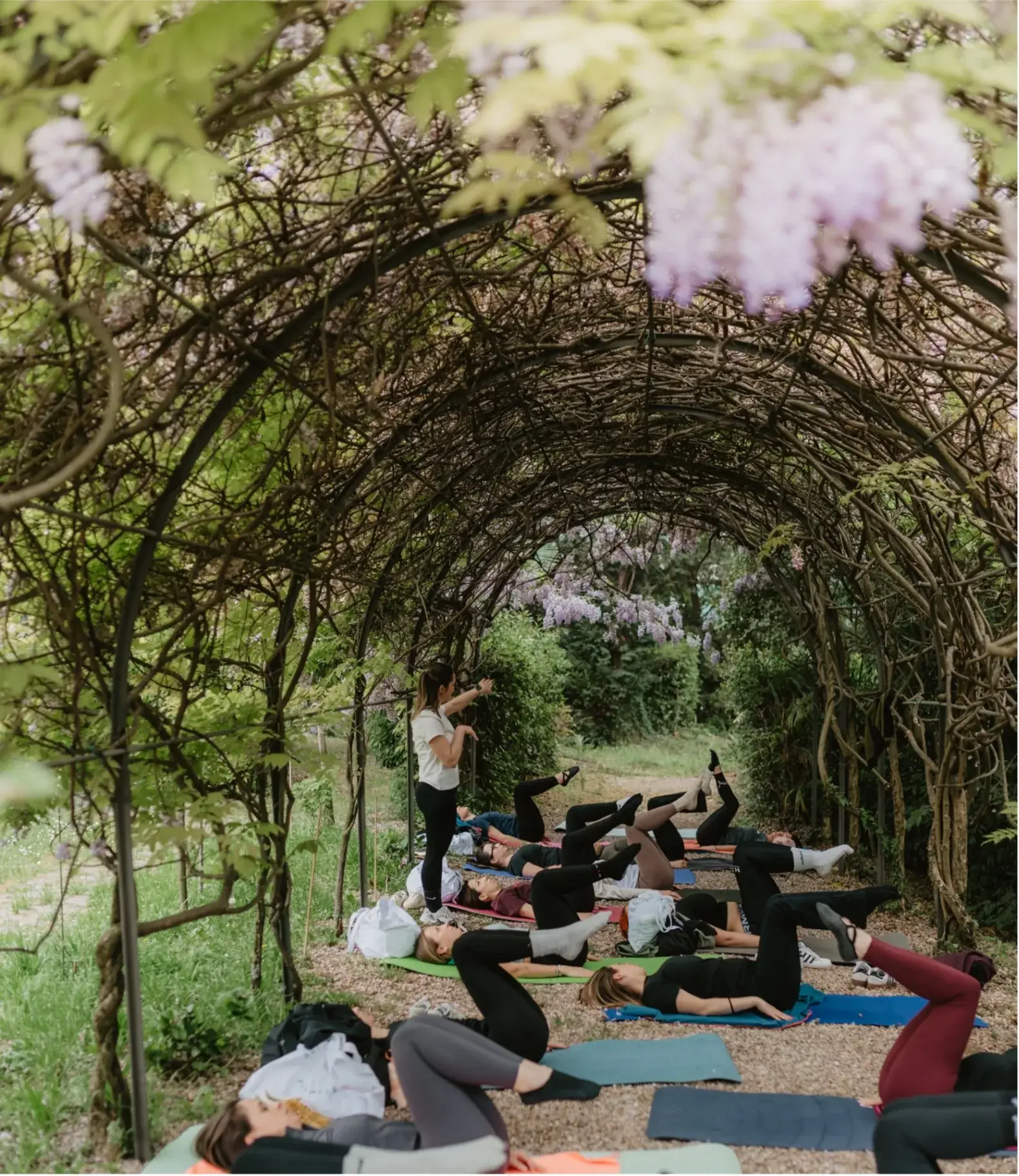 Yoga di gruppo all'aperto sotto un pergolato di glicine