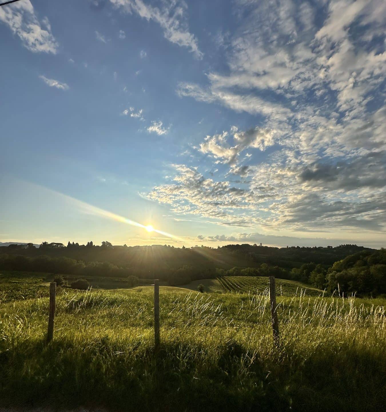 Tramonto sulle colline del Prosecco
