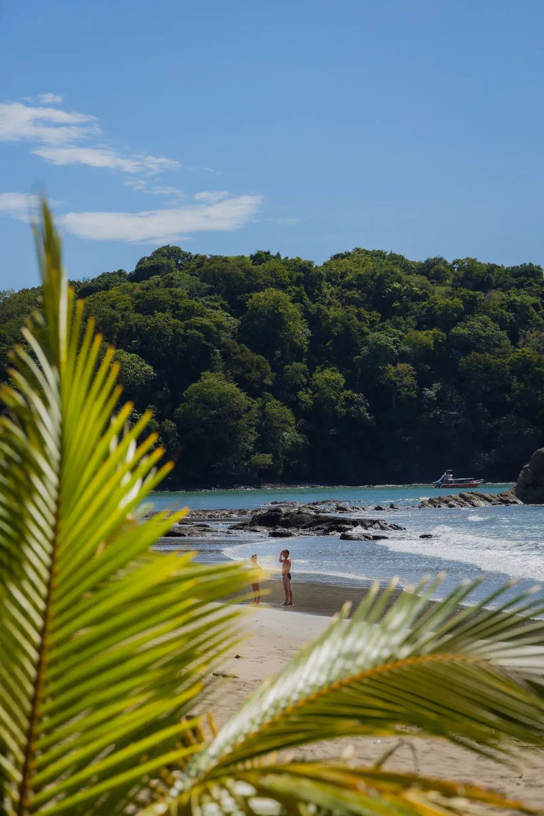 A Pacific beach in Costa Rica seen through the palms