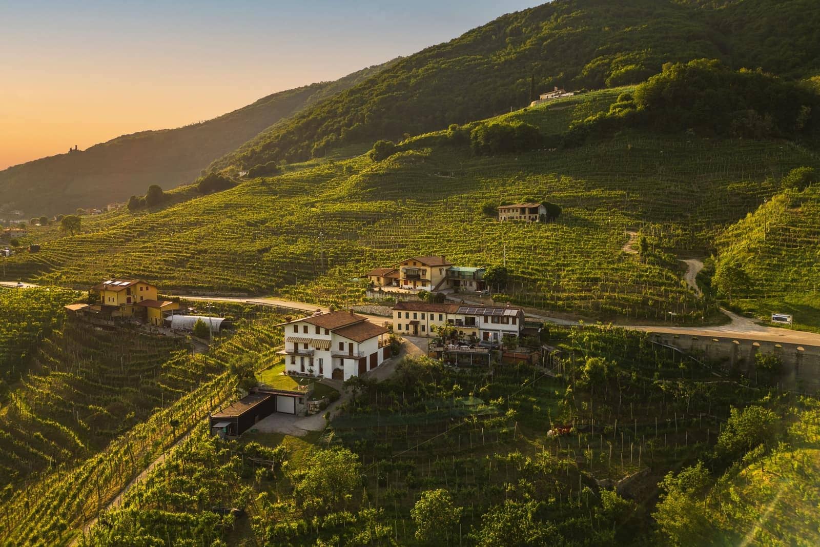 The Prosecco hills at golden hour